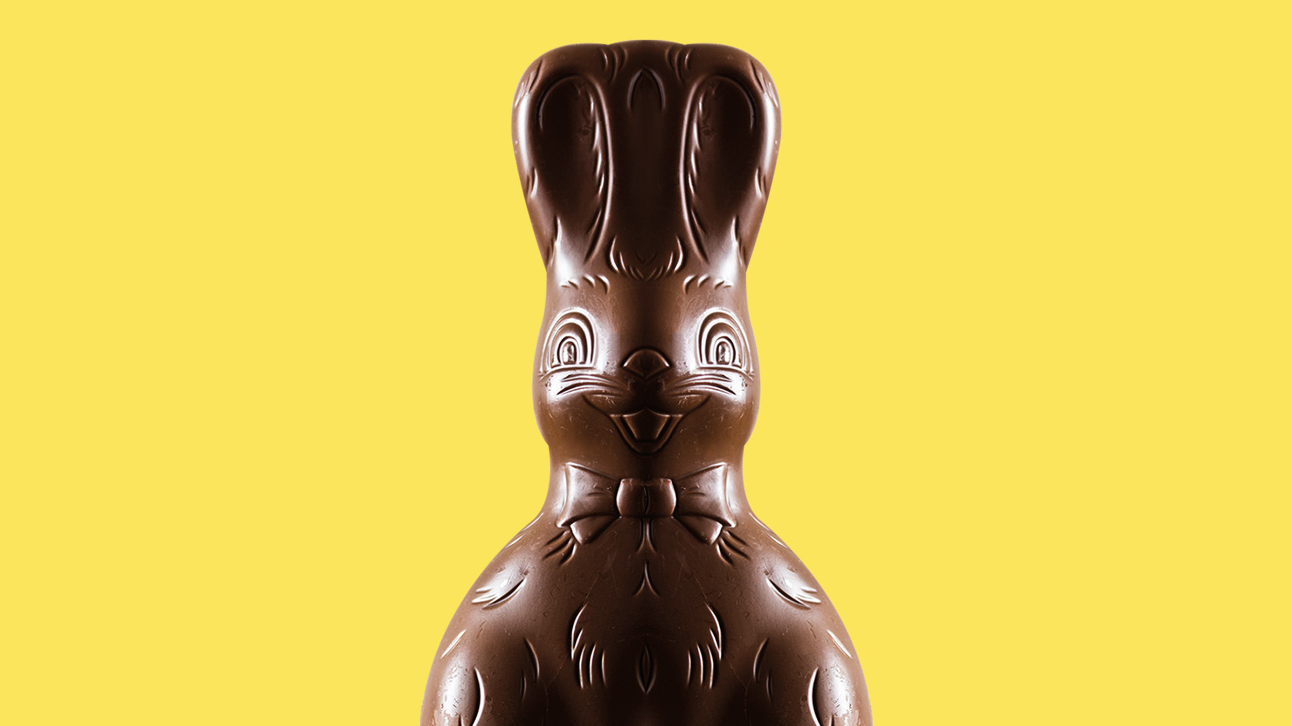 påskehare i chokolade med gul baggrund